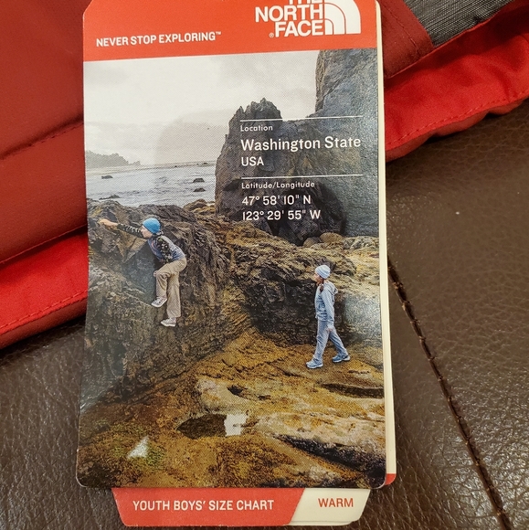 The North Face Boys Multicolored Jacket - Picture 8 of 12